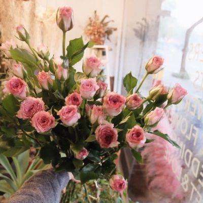 江南全站登录手机app下载