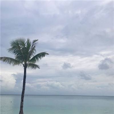 爱游戏app手机版