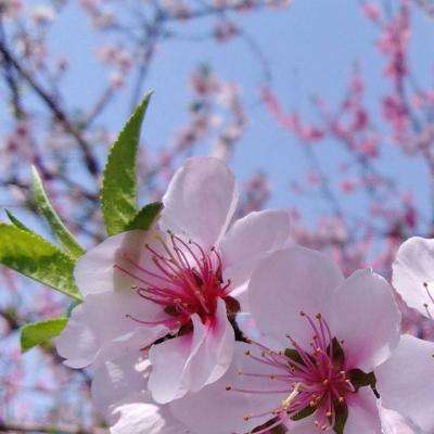 全民彩票下载手机版